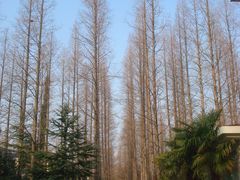 -上海怡沁园度假酒店