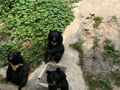 -天津市动物园