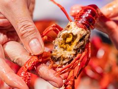 -舞虾小说.涮肉.烧烤(国顺东路店)