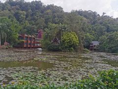 -野象谷景区