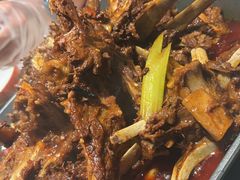 -杨氏青龙虾·羊蝎子(金盛路总店)