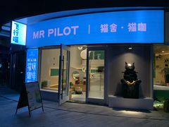门面-飞行喵MR PILOT|猫舍·猫咖(静安大融城店)