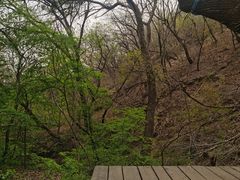 -大青沟风景区