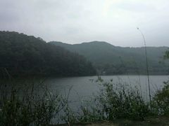 android_upload_pic-火炉山森林公园