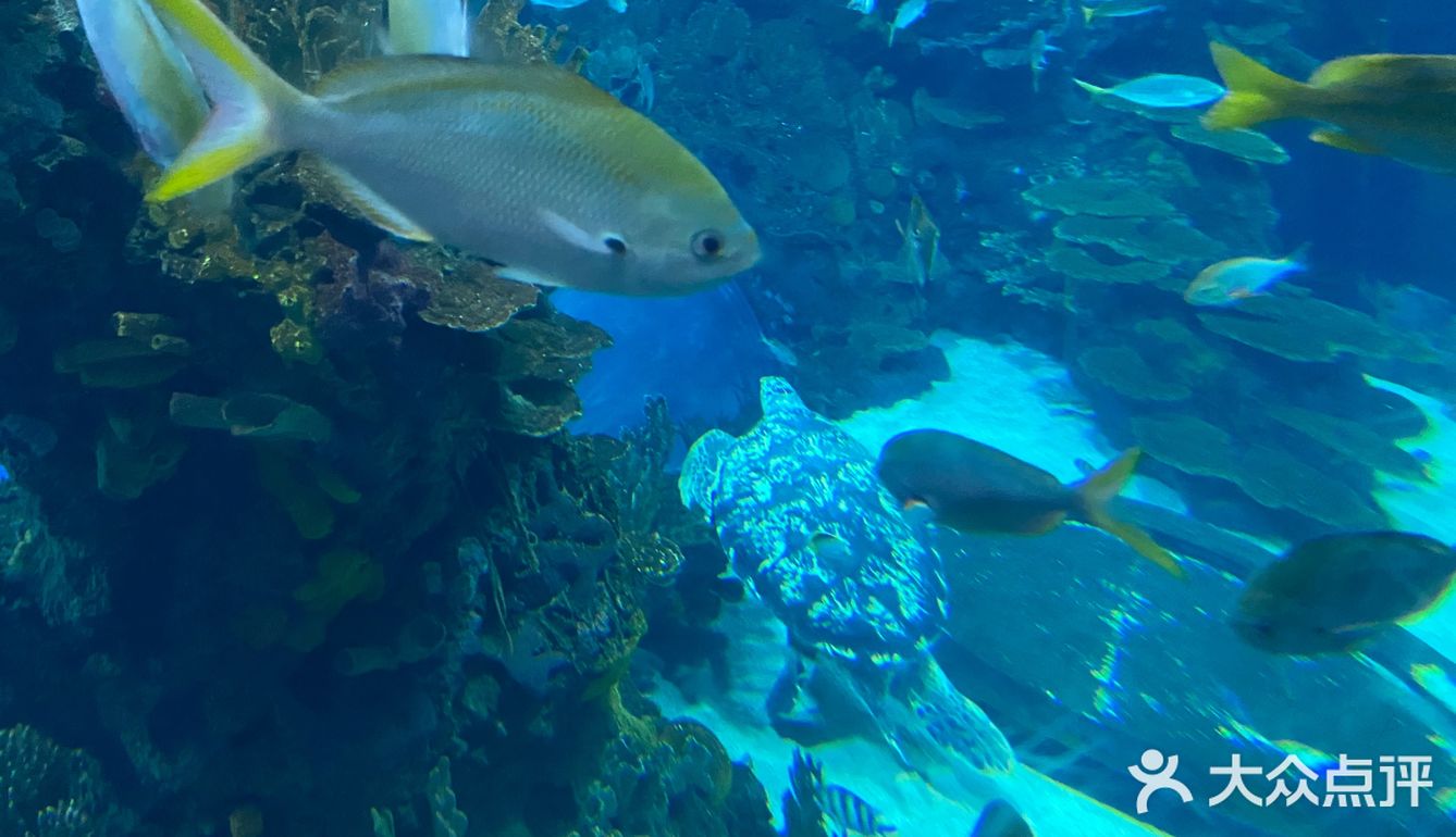 夜宿北京海洋馆