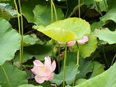 -费孝通江村纪念馆