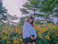 -二沙岛艺术公园