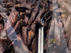 -都士牧人现烤牛肉干