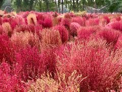 -汉长安城未央宫国家考古遗址公园