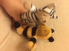 泰迪熊包挂-成都泰迪熊博物馆