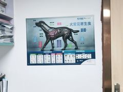 -宠颐生宠物医院外科·内科·皮肤科·影像科(石龙店)