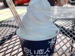 -札幌二条市场 大矶(本店)