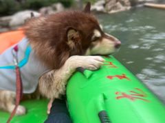 -安吉龙王山峡谷漂流