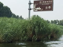 -白洋淀景区