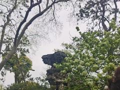 -拙政园