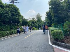 -大屏嶂森林公园