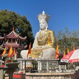 每年婆婆都要来这里拜拜