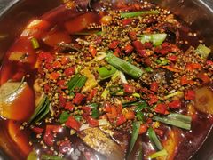 -宽口美蛙鱼头(大唐西市店)