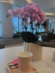 -深圳芙必优医疗美容·抗衰中心