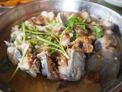 -百里鲜(羚羊峡古栈道森林公园店)