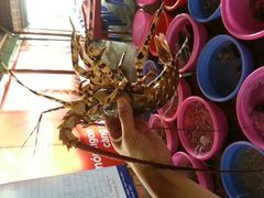 -幸福姐海鲜大排档