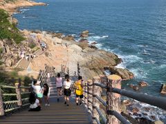 -广东惠东海龟国家级自然保护区