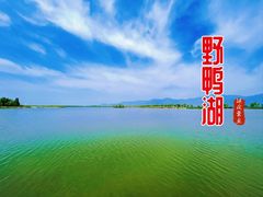 -野鸭湖国家湿地公园