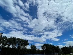 -东北烧烤铁锅炖水库鱼