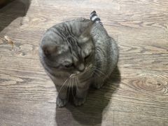 -小时光咖啡馆(开森度假森林店)