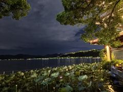 -湖畔居茶楼(湖滨店)