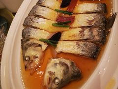 鲥鱼-金时代顺风大酒店(爱琴海购物中心店)