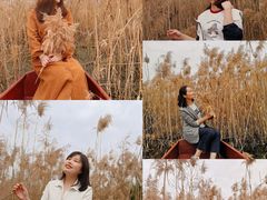 -会仙湿地