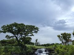 -济州森林小火车生态公园