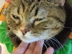 -平行世界·猫咖(首经贸店)