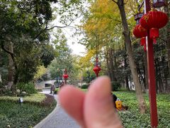 -郑和公园