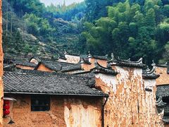 -杨家堂村