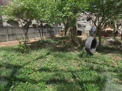 -石家庄市动物园