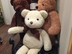 -济州岛泰迪熊博物馆