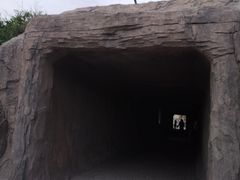 -八大关景区