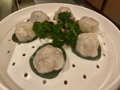 爆浆芝士大虾球-麻路成都火锅(柏威年店)