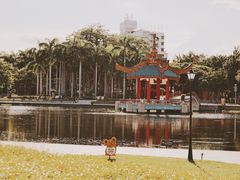 -金砂公园