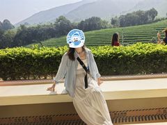 -白茶原·一片叶子