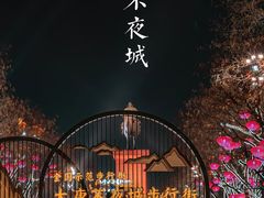 -大雁塔北广场音乐喷泉