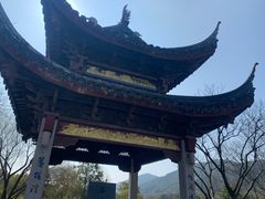 -长广溪湿地公园