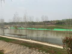 -洨河生态公园