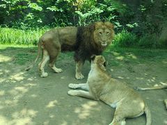 -北京野生动物园