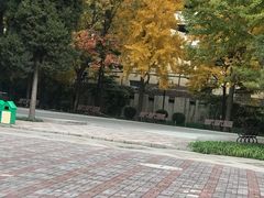 -黄村公园