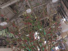 -山楂树融合菜餐厅