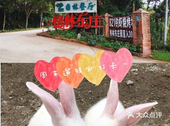 周末遛娃宝藏地||打卡格林东庄 这里户外的场地很大