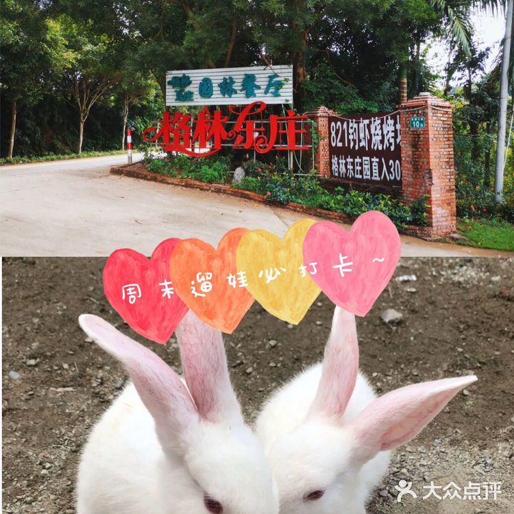 周末遛娃宝藏地||打卡格林东庄 这里户外的场地很大